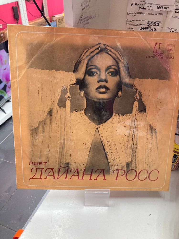 Виниловая пластинка