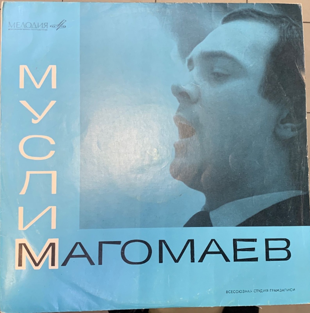 Виниловая пластинка